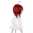 Anime Shikkaku Mon no Saikyou Kenja Iris Red Wine Cosplay Wigs