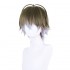 Virtual Youtuber NIJISANJI Ike Eveland Cosplay Wigs