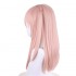 Anime My Dress-Up Darling Inui Sajuna Small Ponytail Cosplay Wigs