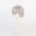 Anime EVA Neon Genesis Evangelion Kaworu Nagisa Cosplay Wigs