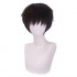 Anime EVA Neon Genesis Evangelion Shinji Ikari Cosplay Wigs