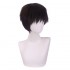 Anime EVA Neon Genesis Evangelion Shinji Ikari Cosplay Wigs