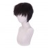 Anime EVA Neon Genesis Evangelion Shinji Ikari Cosplay Wigs