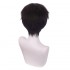 Anime EVA Neon Genesis Evangelion Shinji Ikari Cosplay Wigs