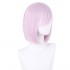 Anime SPY×FAMILY Fiona Frost Nightfall Cosplay Wigs