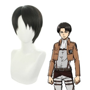 Anime Attack on Titan Levi Ackerman Short Black Cosplay Wigs